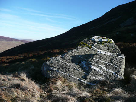 Arenig rock