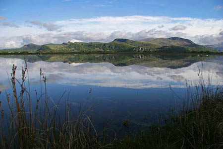 Cob Morning Reflection