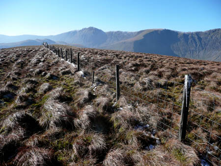 Grass Tussocks, Aran#20018