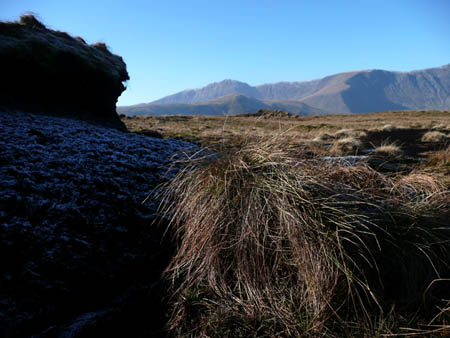 Grass and Peat on Aran