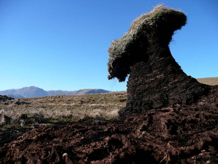 Peat Sculpture