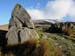 Rhydd Ddu track