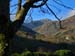 Snowdon through tree