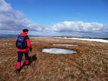 Discovering Frozen Pool