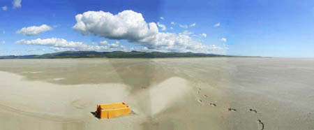 Estuary Sandflats View